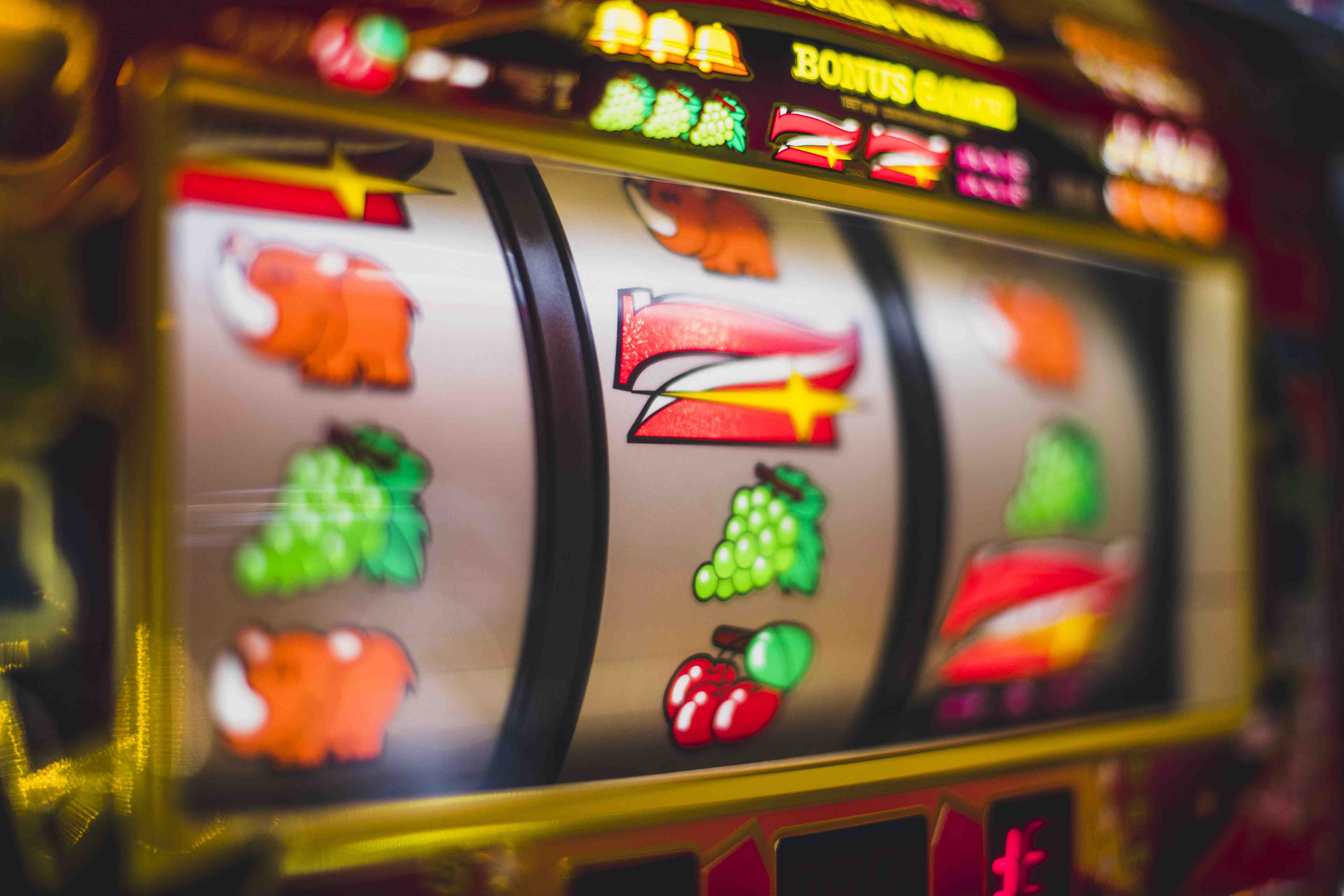 wildlife-themed slot visuals and layout details from the bat 786 guide